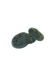 [350070] Metaalspons PANSPONS 60 GRAM 10 in pack